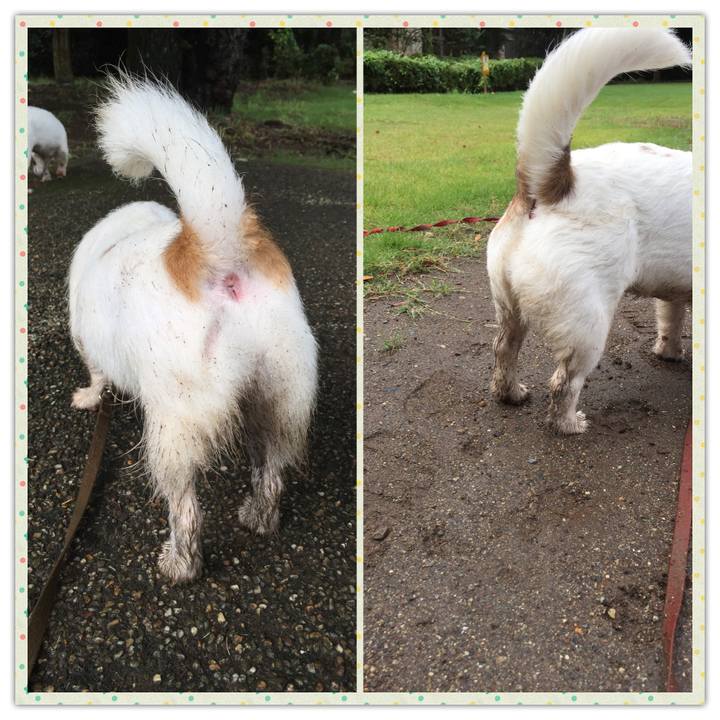 Cb50ef35 f839 4bc0 ba28 fe344b9995c7