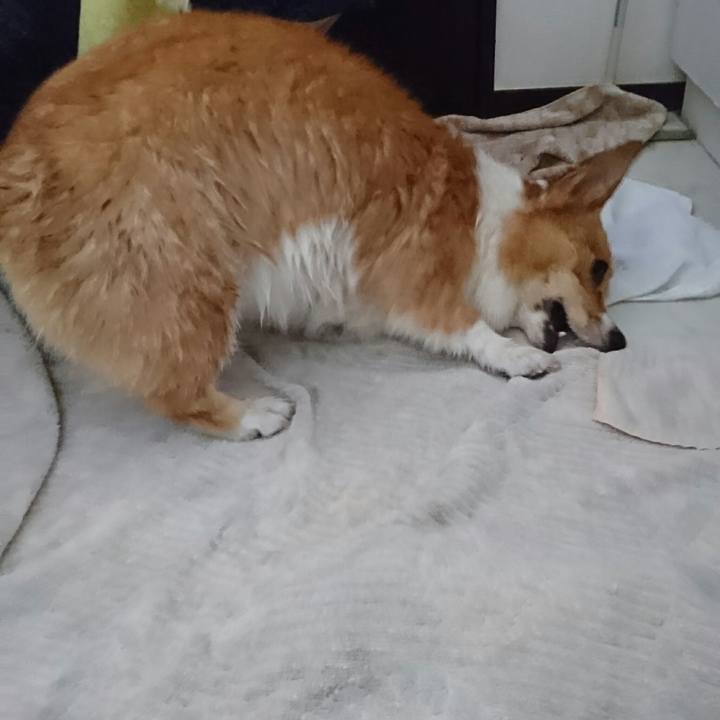 Cb5130eb fb12 4fe3 bedd 084a7944672a