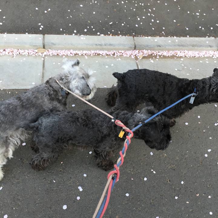 Cb51f2b6 281b 4fcf bfc9 fa0129a6974c