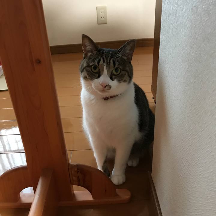 Cb5212ff ddec 4ee5 bfcf 0ccfdbf215ba