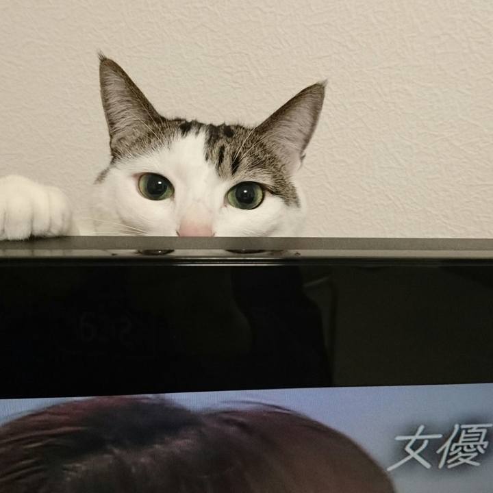 Cb5217ad afa2 4a05 b170 53b5e1c830ba