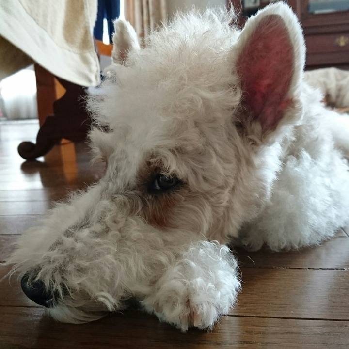 Cb52743f e20d 463e a6d6 da806f0a3bc6