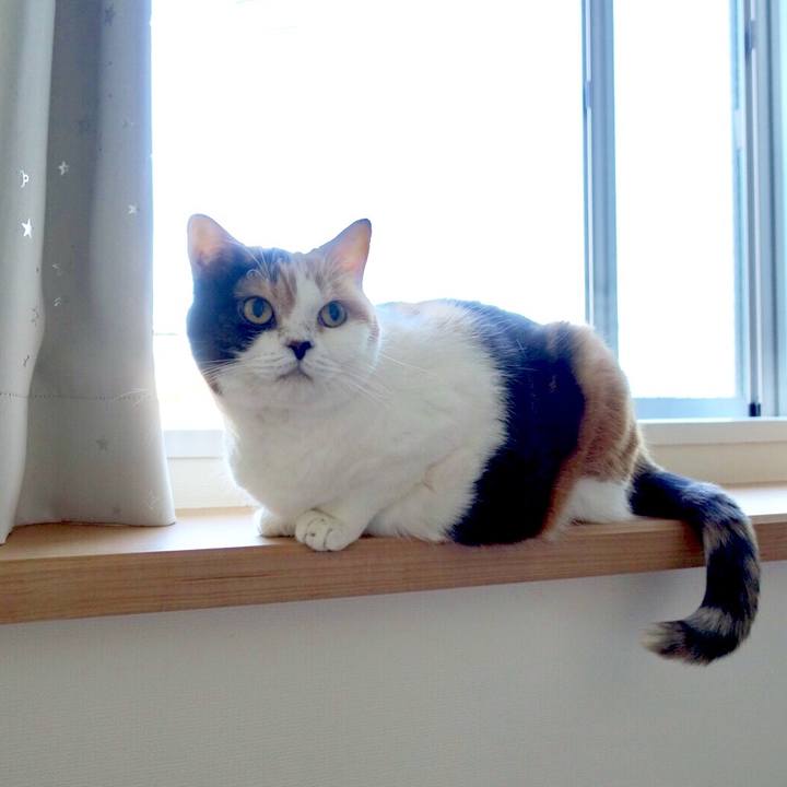 Cb528b23 5f6f 47cb b742 55d44ad3897c