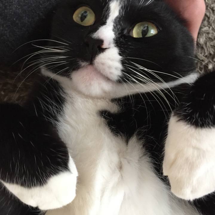 Cb528ebf 8e94 4c4b 9e86 51a4abf106ff