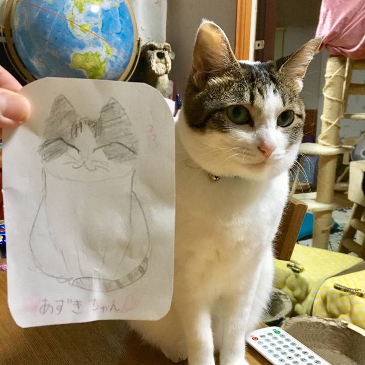 Cb53263a 1bf5 49e0 8f90 2dd0b90e4157