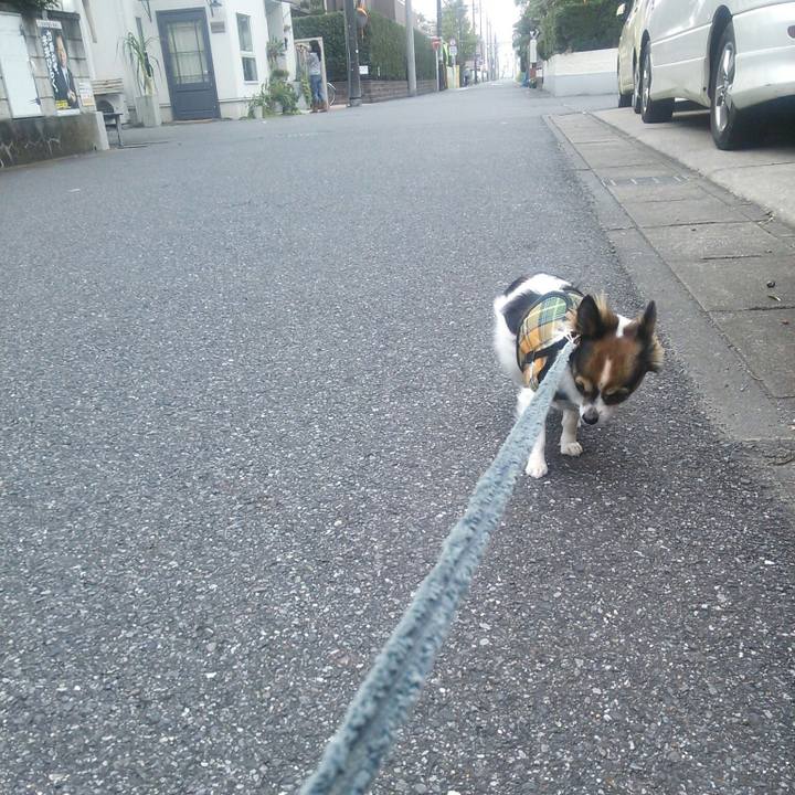 Cb53567c 520c 48cd b6a0 4895af109a50