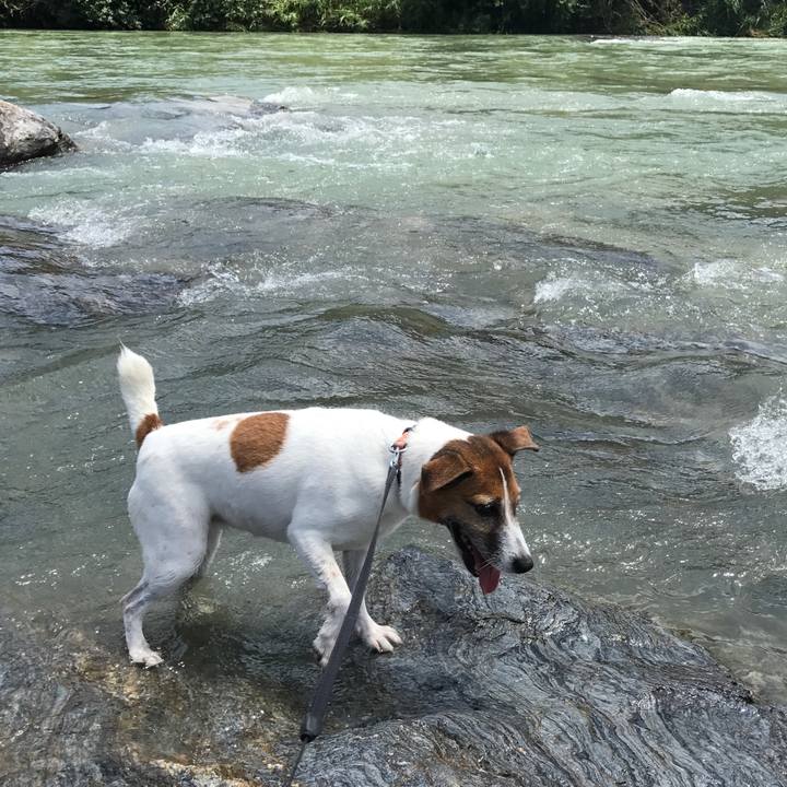 Cb543d43 fe89 4e15 83e1 7a38b52d3643