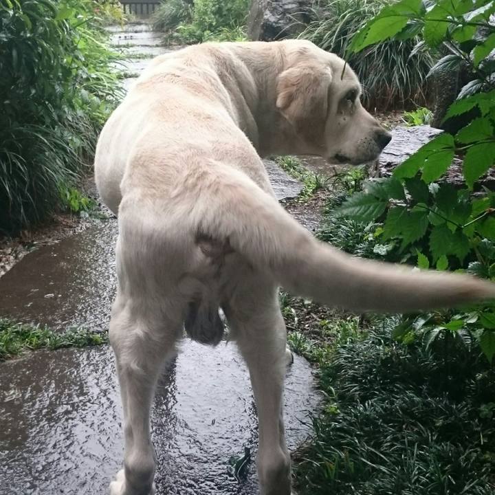 Cb546ea6 3f4e 4fdd b10a 880c2548c5a4