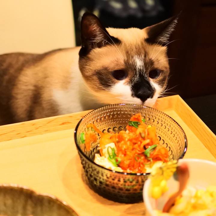 Cb547533 1401 406a af6e 49633dd2d12b