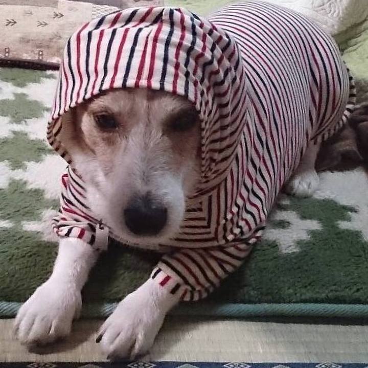 Cb5491ff 5179 4dd9 afab a1d32b709807