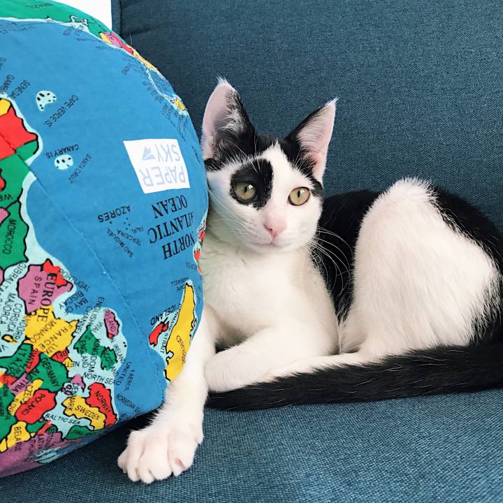 Cb54a18d dd1d 470d a40c 944c6628aea0