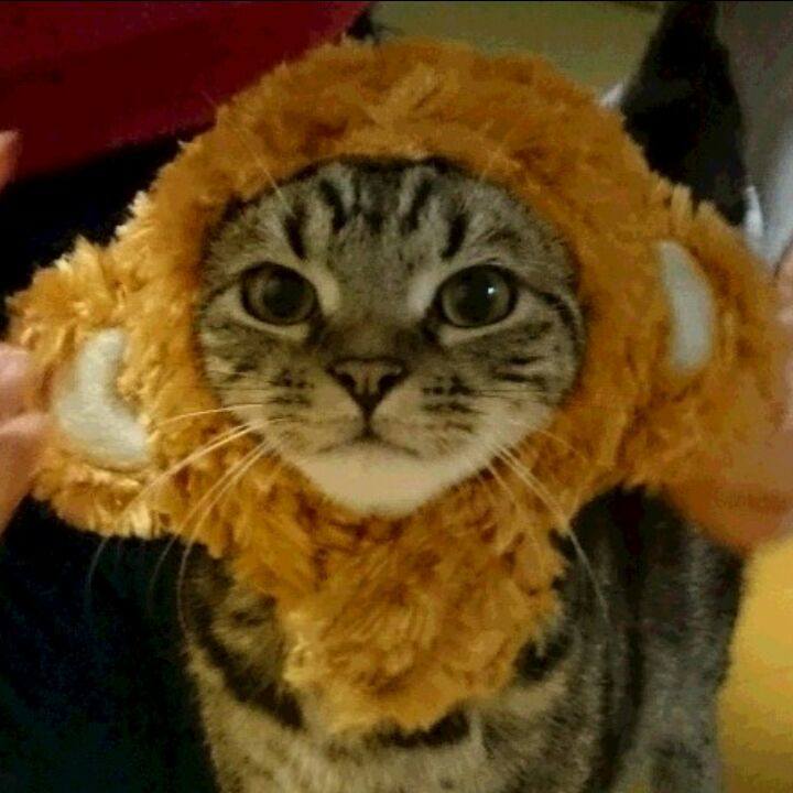 Cb54aef1 592d 4b04 a843 6d47091fdf12