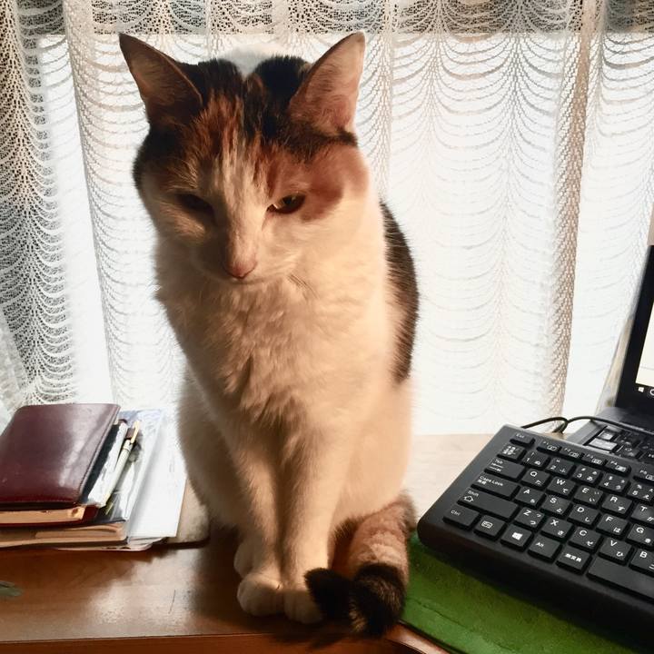 Cb55089a e175 4c80 8285 18feff561da4