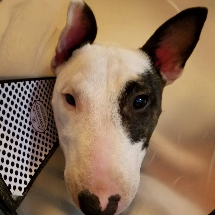 Cb559c6d f95b 498a 9736 5470a3022a68