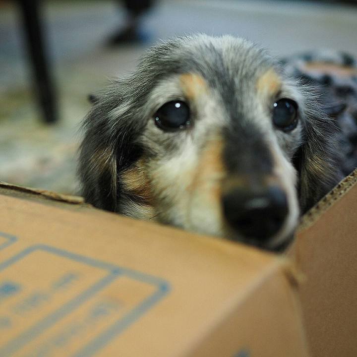 Cb55bc51 4569 4f50 8ef5 88401bb9a16c