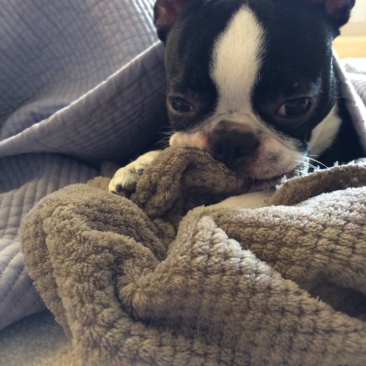 Cb55c5d8 c946 4e08 9394 83525ac9845c