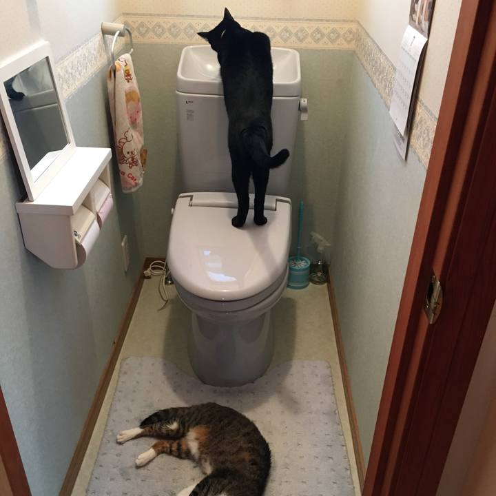 Cb55e464 f73b 4ab0 a8e0 032394e229c2