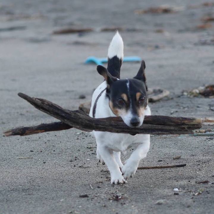 Cb568e47 a79a 4a71 9a1f 12007113e76d