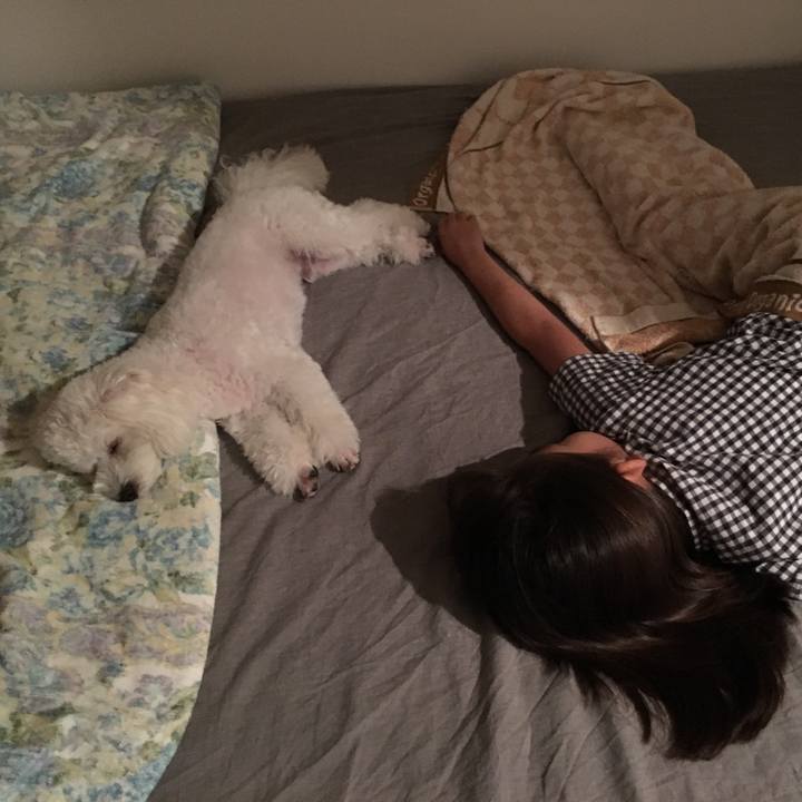 Cb569519 c969 4a1d 8d67 fdd0eec1e837