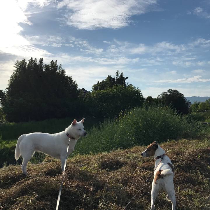 Cb56a23a 2bec 40ae 809b c45b70f078e3