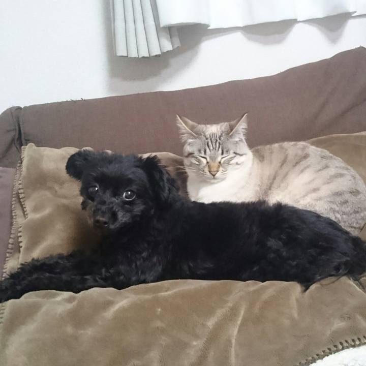 Cb577fdc 5def 435c 96b8 219d515a9d01