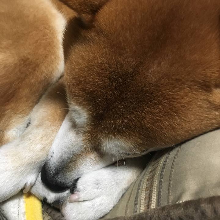 Cb578b0e 4c7d 4fc8 9261 a2588a512a57