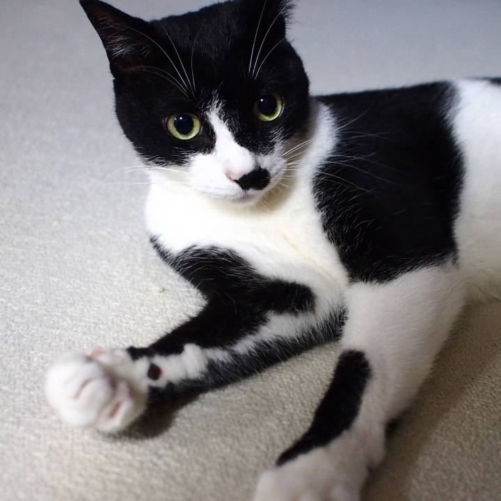 Cb5790a0 d0a8 493d ade5 17e22c14f6ea