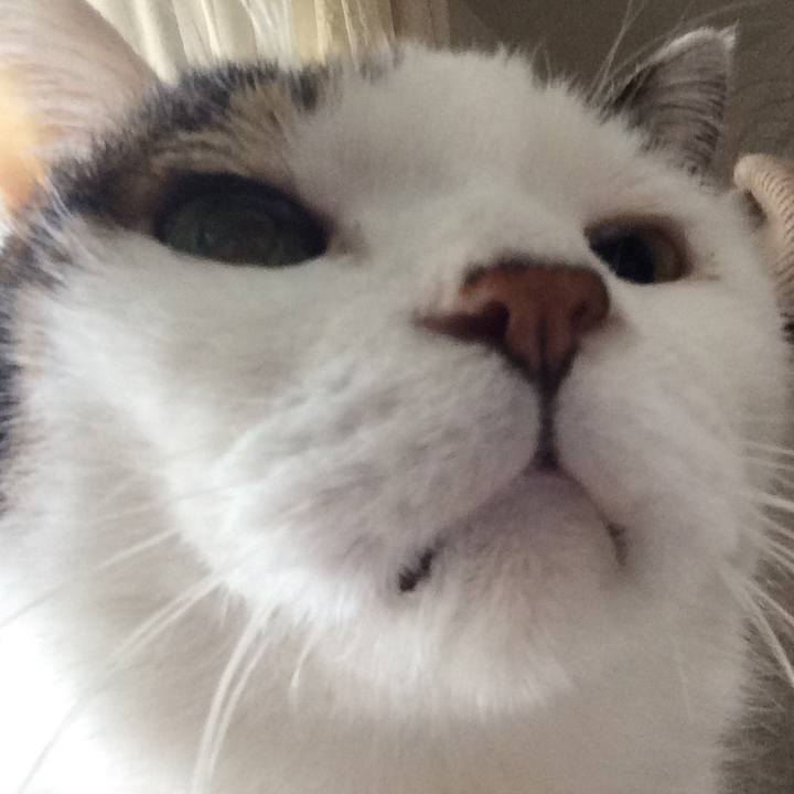 Cb57b09d 79b9 438b be9e cde4be4a85d0