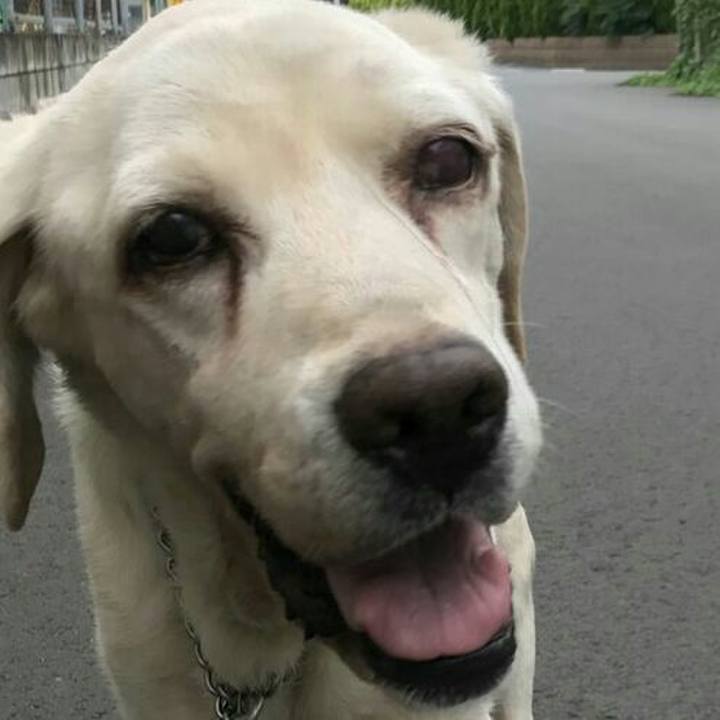 Cb5847e7 66e6 453e bf31 c28f3de5e5de