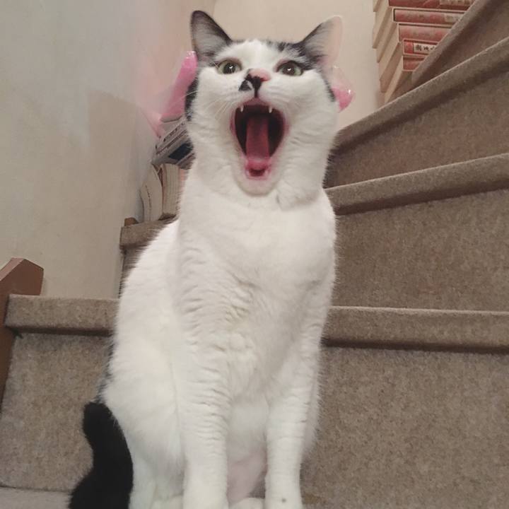 Cb5861ce 95ba 46fc a7f4 1689af03ca6d