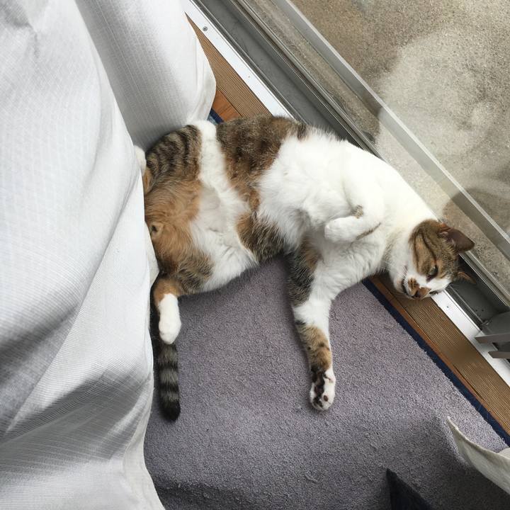 Cb588bb9 820f 440a a8ff c879362d367d