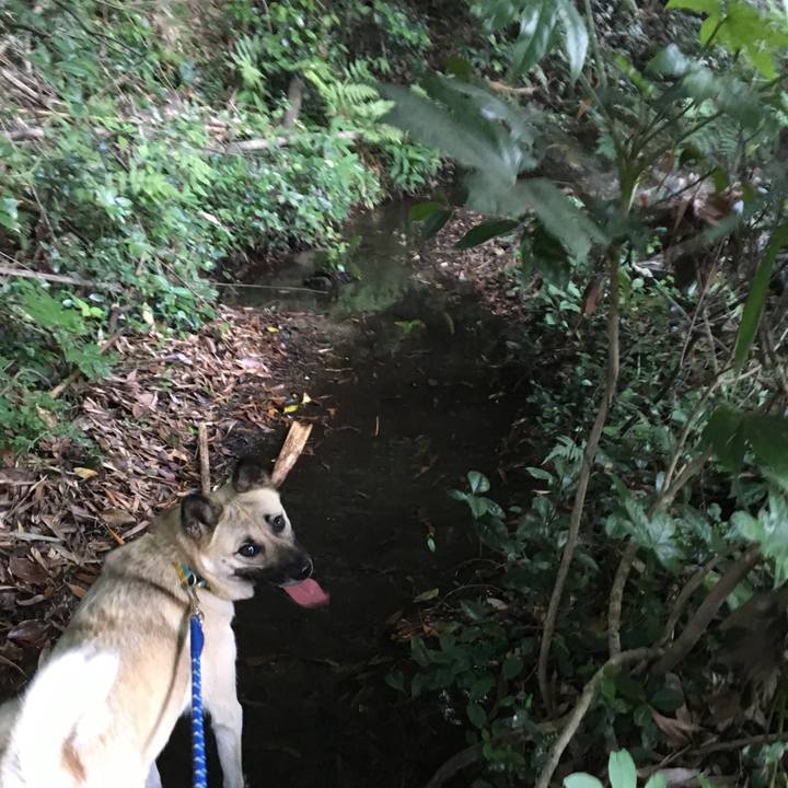 Cb58ec12 6630 4fdb bfde 96861487d764