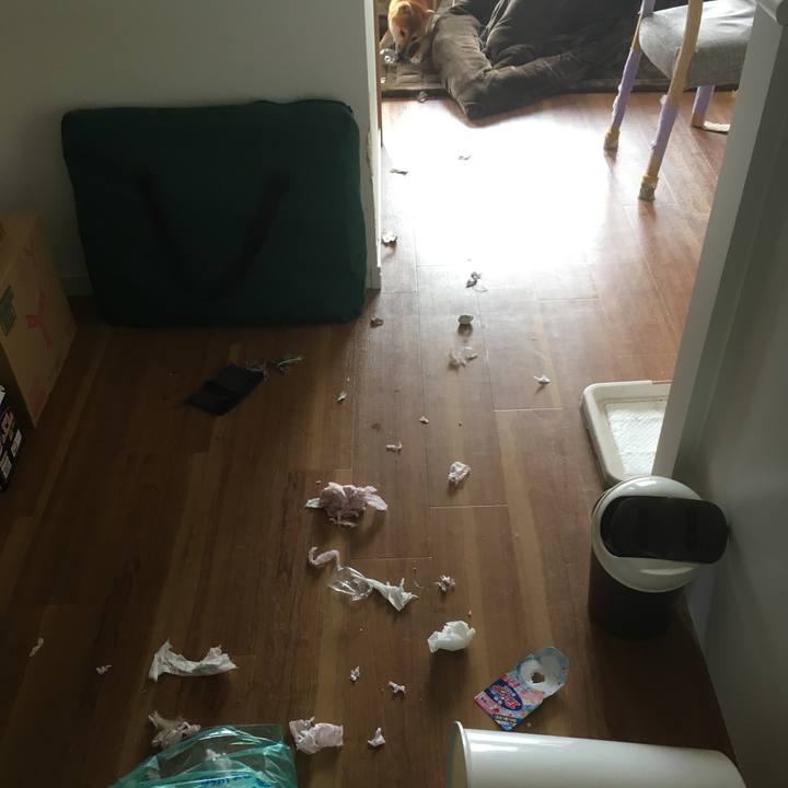 Cb59c07b 56dd 4275 aa86 b4fe66f9b26d