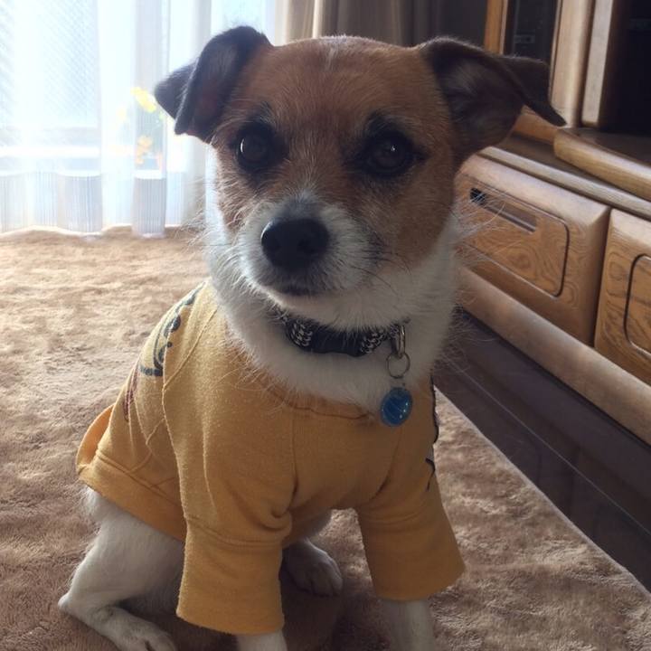 Cb5a154a 32c5 4d01 81d2 6b8367f53a86