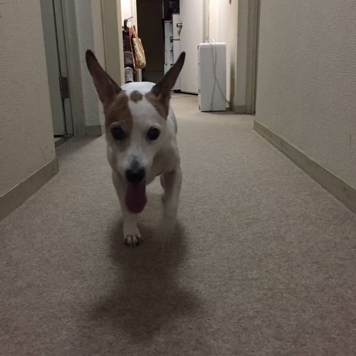 Cb5a7971 199b 447e a5b4 9add3d851fa2