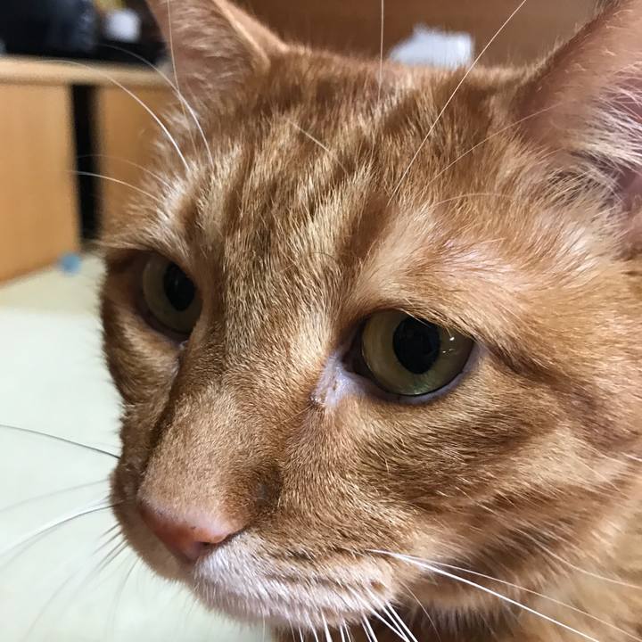 Cb5ac90c 4407 4bea 88d6 0b136840670b