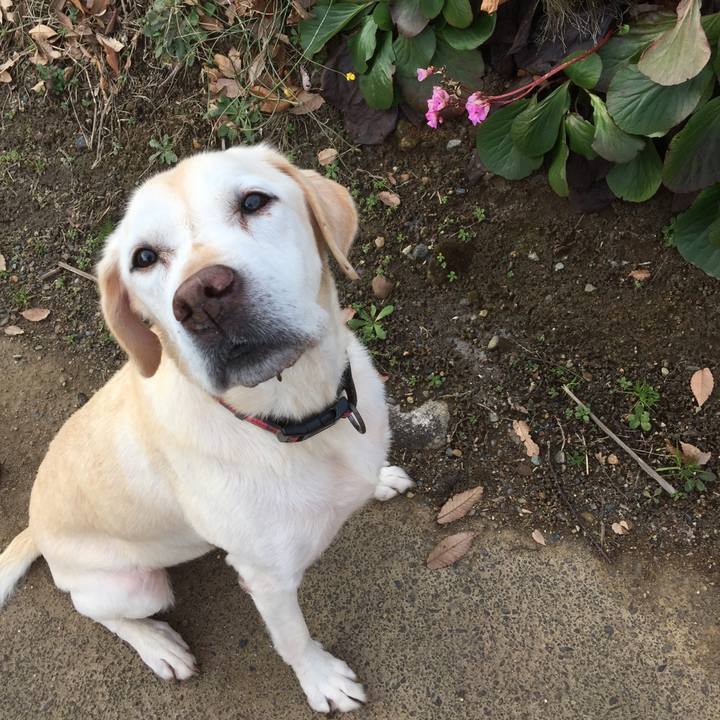 Cb5b23dc 295e 4f1d 9cfb 6d06083b1a9c