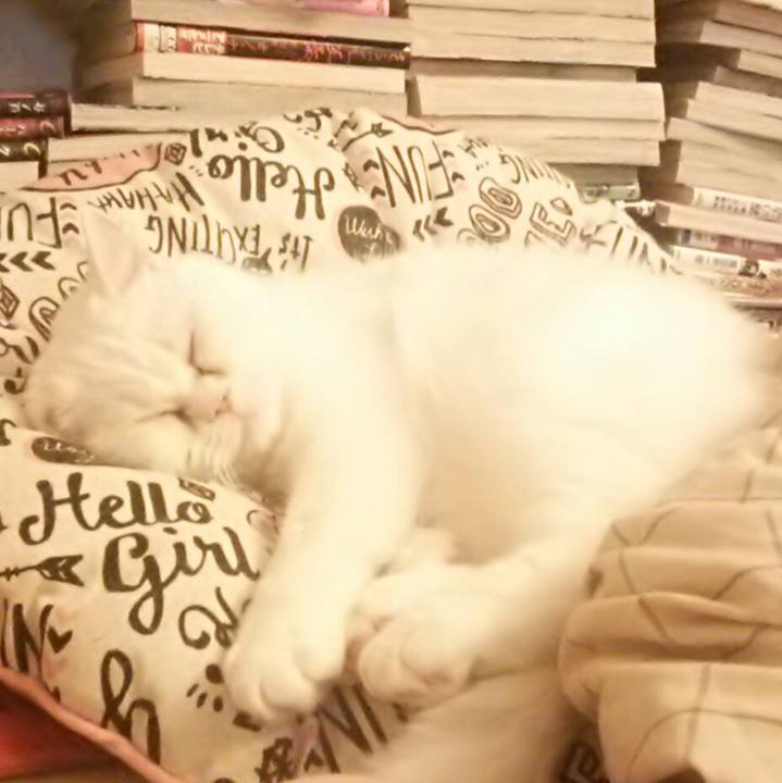 Cb5b2c07 780b 4921 88ab 99ea3d87c89e