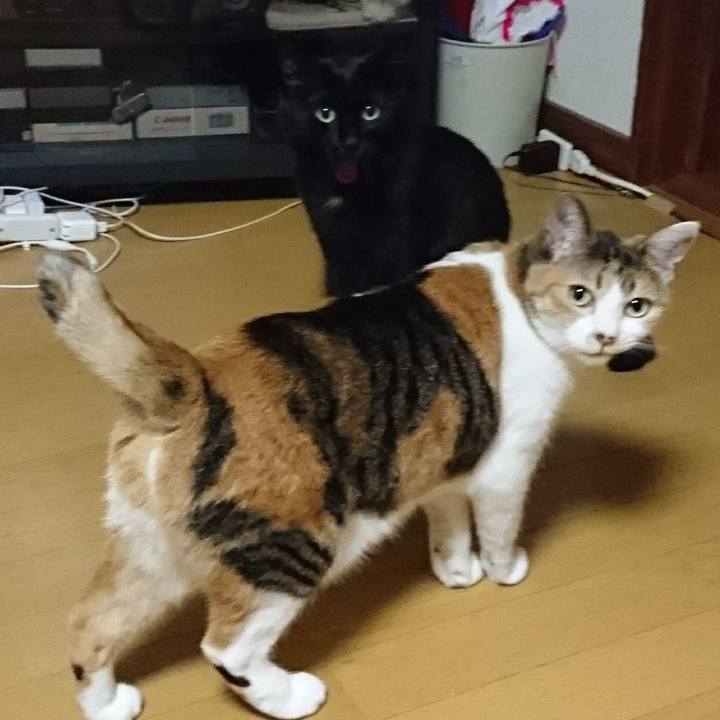 Cb5b2ea6 5a72 4cbc b735 82d0b70d2e59