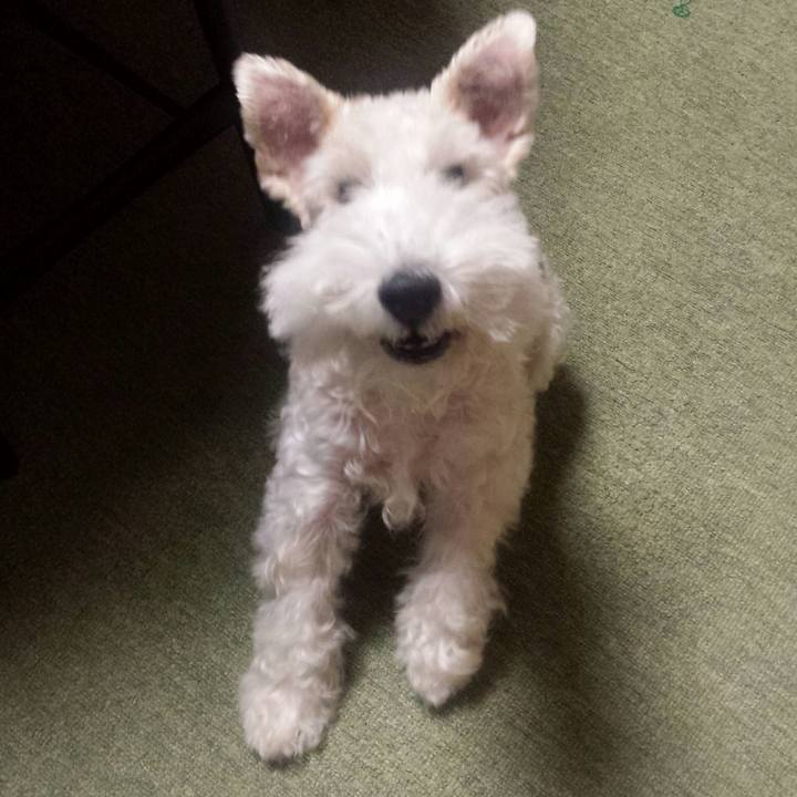 Cb5b46de 03ad 421d a0d8 ab63963e0340