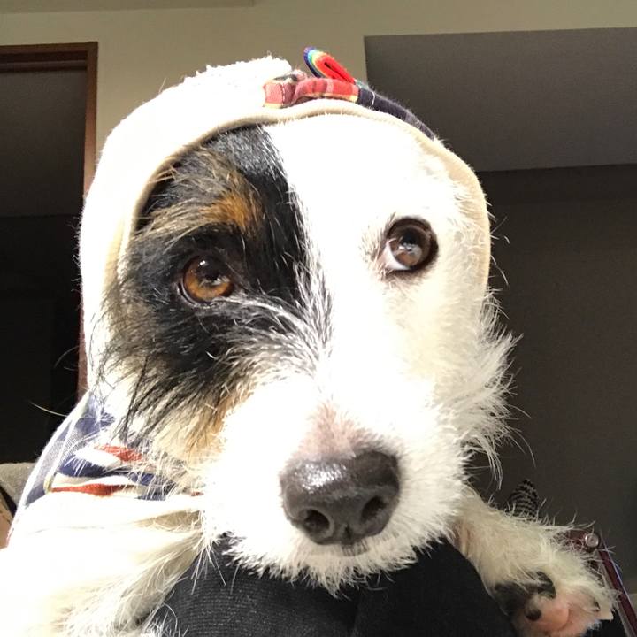 Cb5bfe7b e345 4ee7 8529 717ae0fcb8ac