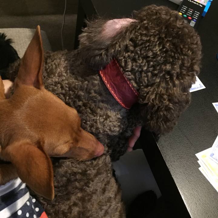 Cb5c0e81 1ef5 4cb5 b92f 3d85fcdba56f