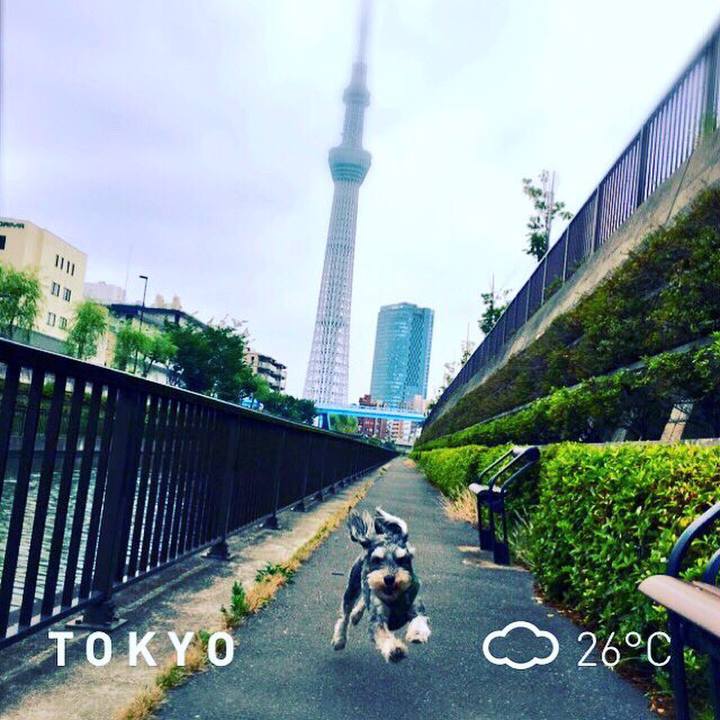 Cb5c5315 99e8 4f6d 8da9 15da6c43eacc