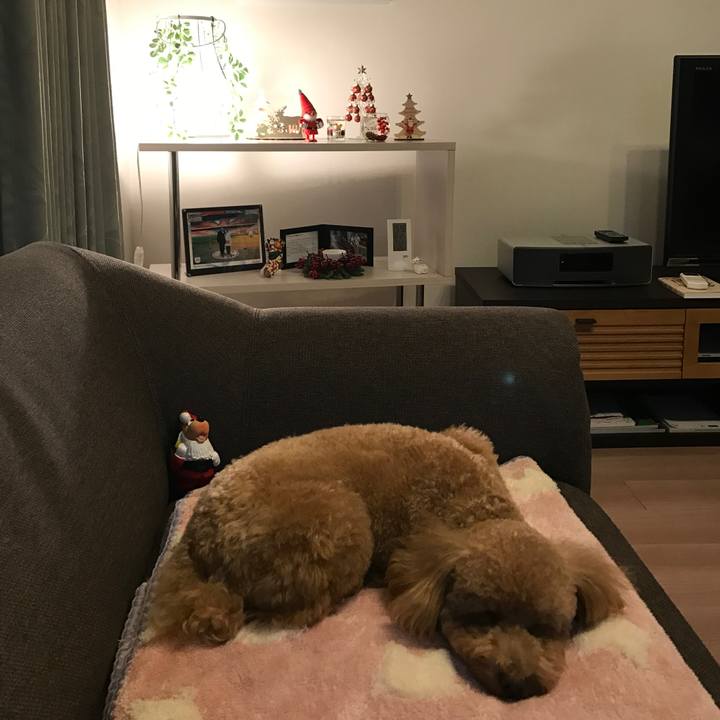 Cb5c5cc7 e1b5 45e1 94e0 62517b5c7f47