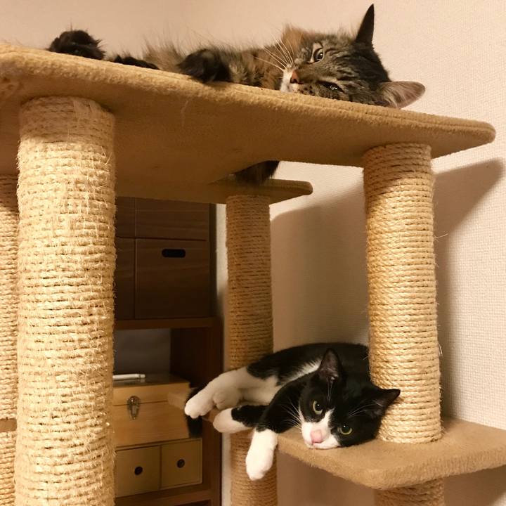 Cb5cb76a a4ab 4570 b545 77736755974a