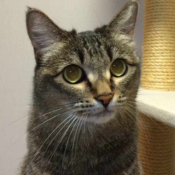 Cb5d41b0 6dfd 4bb1 8ed4 2d1e97f563a5