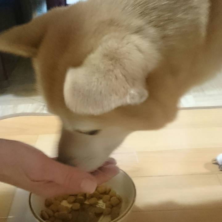 Cb5d649b 1578 464c ac1c d6236c7dde3b