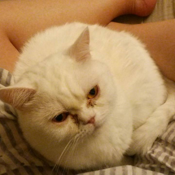 Cb5da565 96f6 4001 9a0f 8ab2af622759