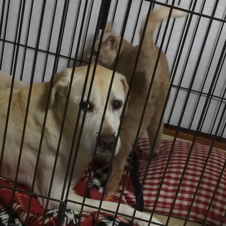 Cb5fa8b1 a6d8 4023 860d ffec75f87f31