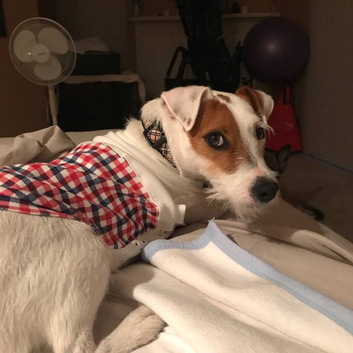 Cb606ead 0cb0 4555 9a57 3494fee38e93